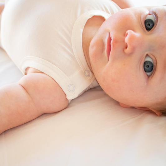 Body in Bambù Smanicato